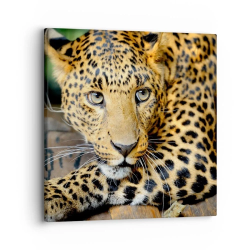 Lærredstryk - Billede på lærred - Vær ikke bange, kom nu - 30x30 cm