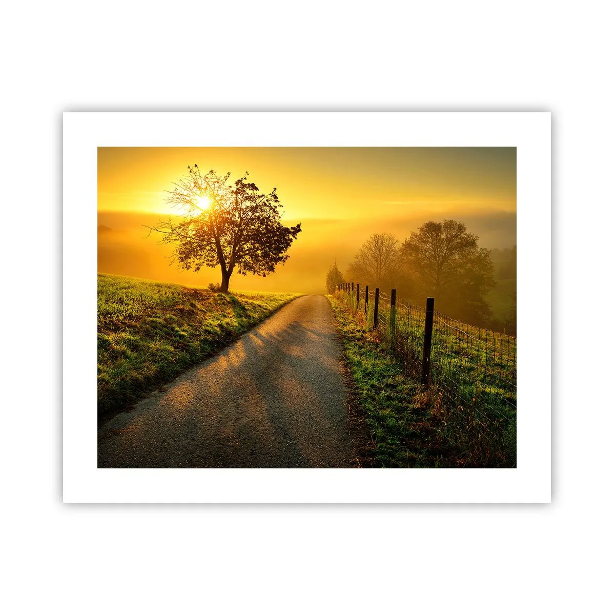 Plakat - Kære eftermiddag - 50x40 cm