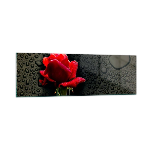 Billede på glas - Rød og sort - 160x50 cm