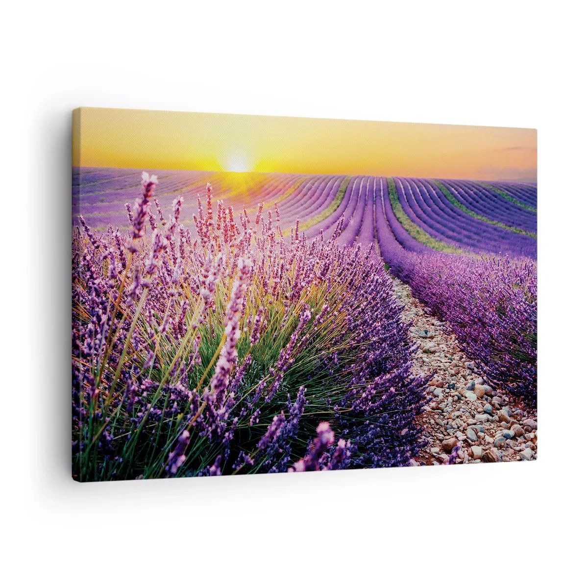 Lærredstryk - Billede på lærred - Duftende plet - 70x50 cm