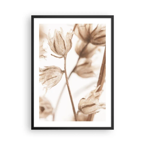 Plakat i sort ramme - Tørrede planter i sepia på en lys baggrund - 50x70cm - De kalder på slutningen af sommeren - Moderne vægdekoration til stue og soveværelse ARTTOR