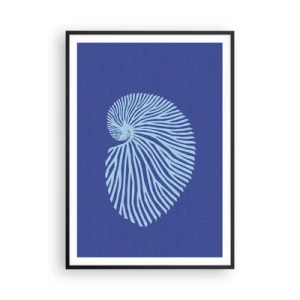 Plakat i sort ramme - Fødsel af en skal - 70x100 cm