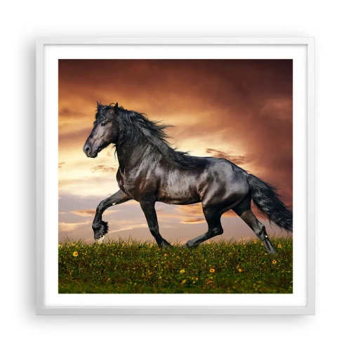 Plakat i hvid ramme - Sort prins - 60x60 cm