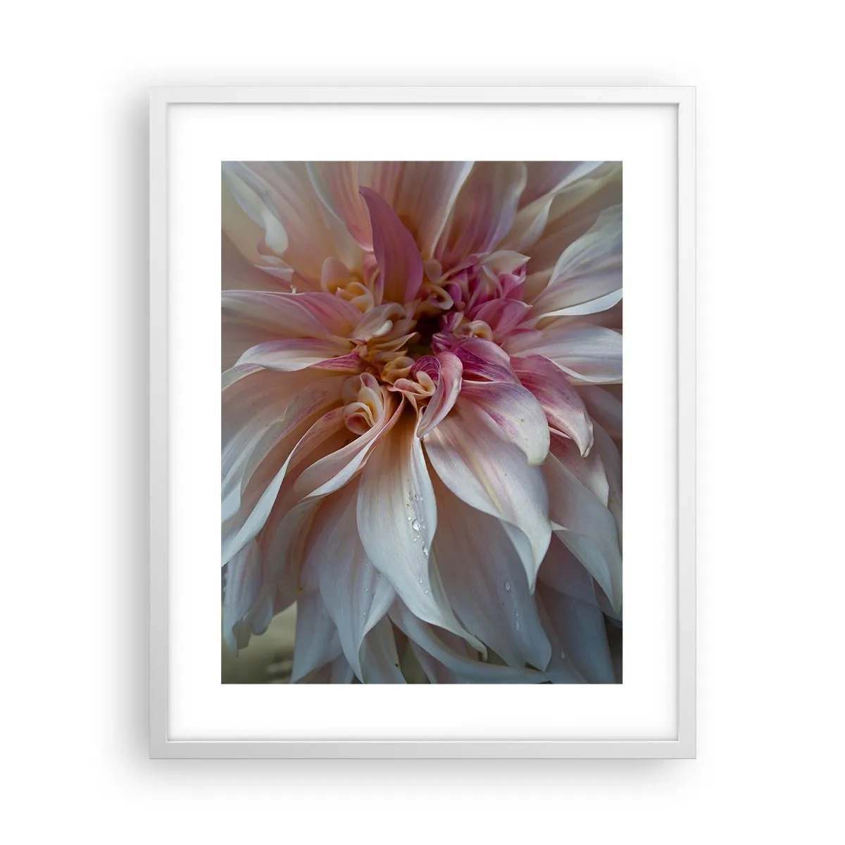 Plakat i hvid ramme - Blomstrende friskhed - 40x50 cm