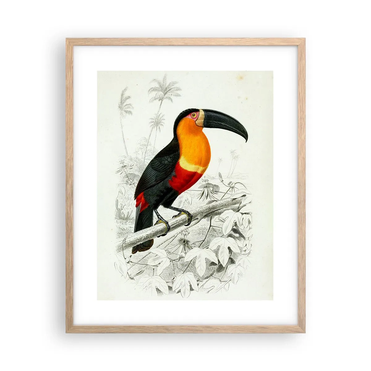 Plakat i ramme af lyst egetræ - Fuglefarver - 40x50 cm
