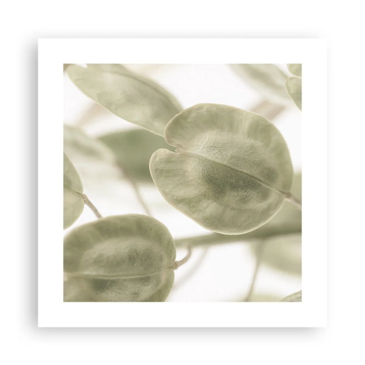 Plakat - I begyndelsen var der blade... - 40x40 cm