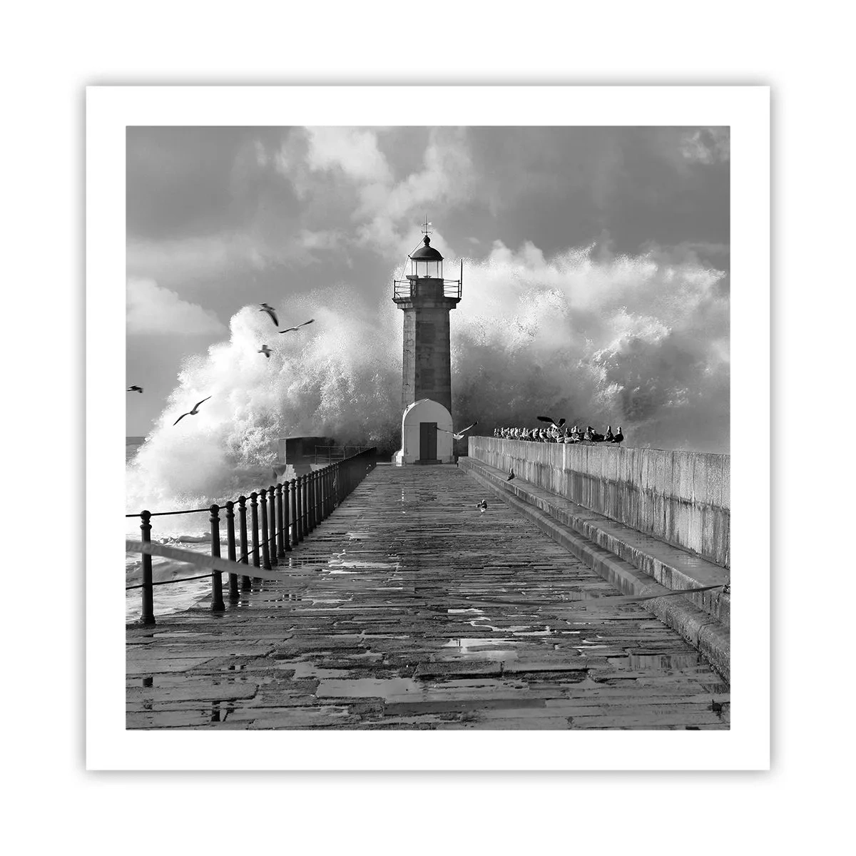 Plakat - Frygtløs - 60x60 cm