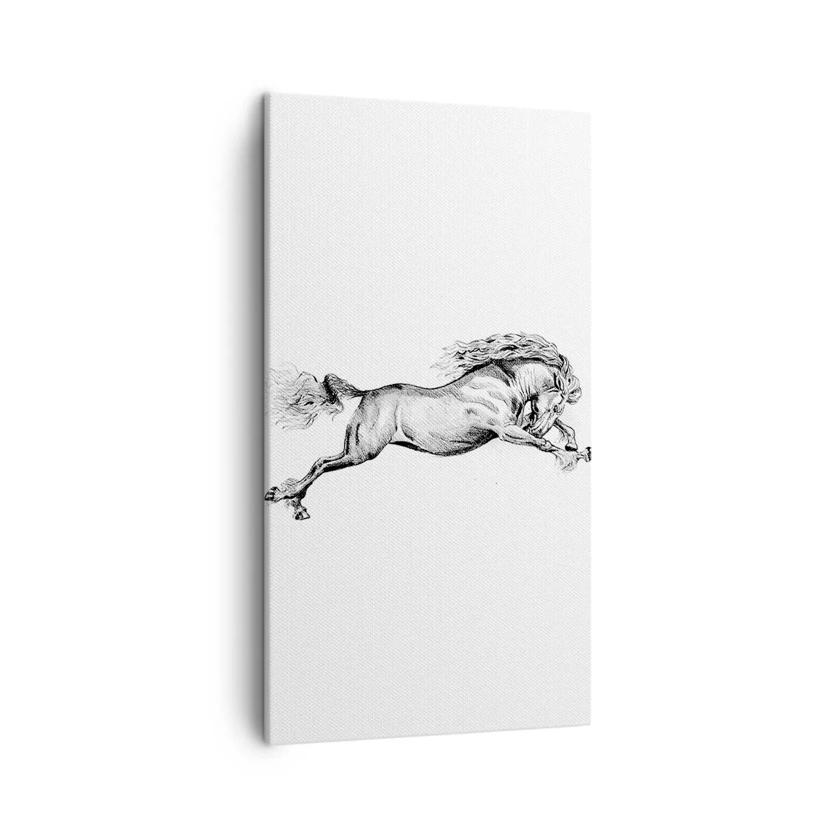 Lærredstryk - Billede på lærred - Stoppet i galop - 45x80 cm