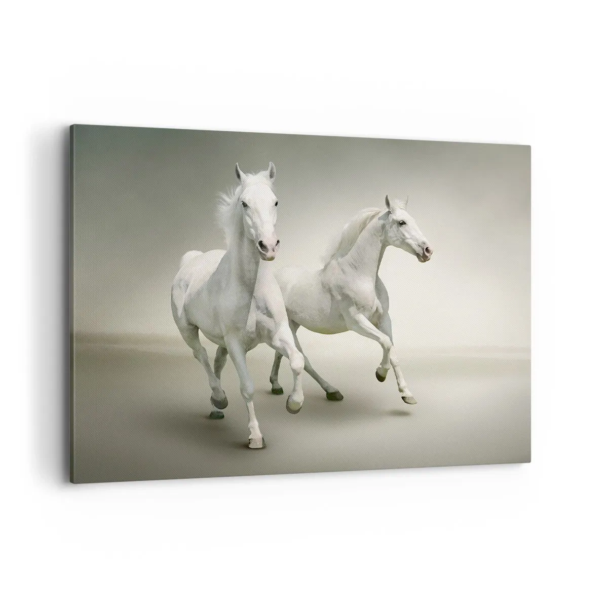 Lærredstryk - Billede på lærred - White power! - 100x70 cm