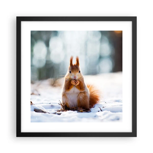 Plakat i sort ramme - Og hvad kigger du på? - 40x40 cm