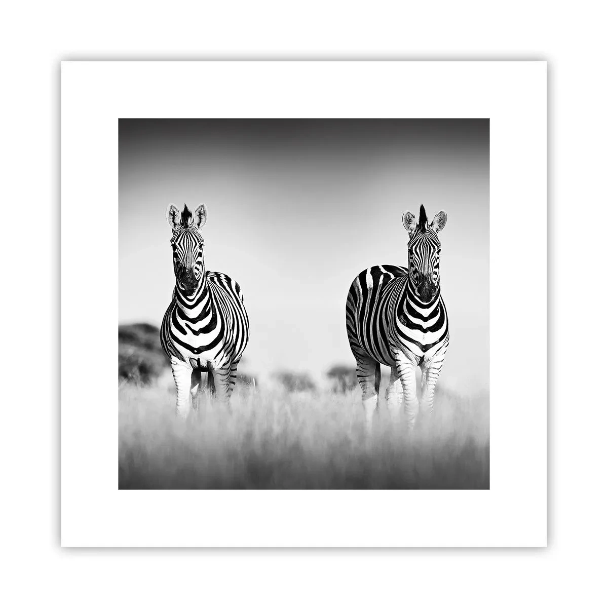 Plakat - Og alligevel er verden sort og hvid - 30x30 cm