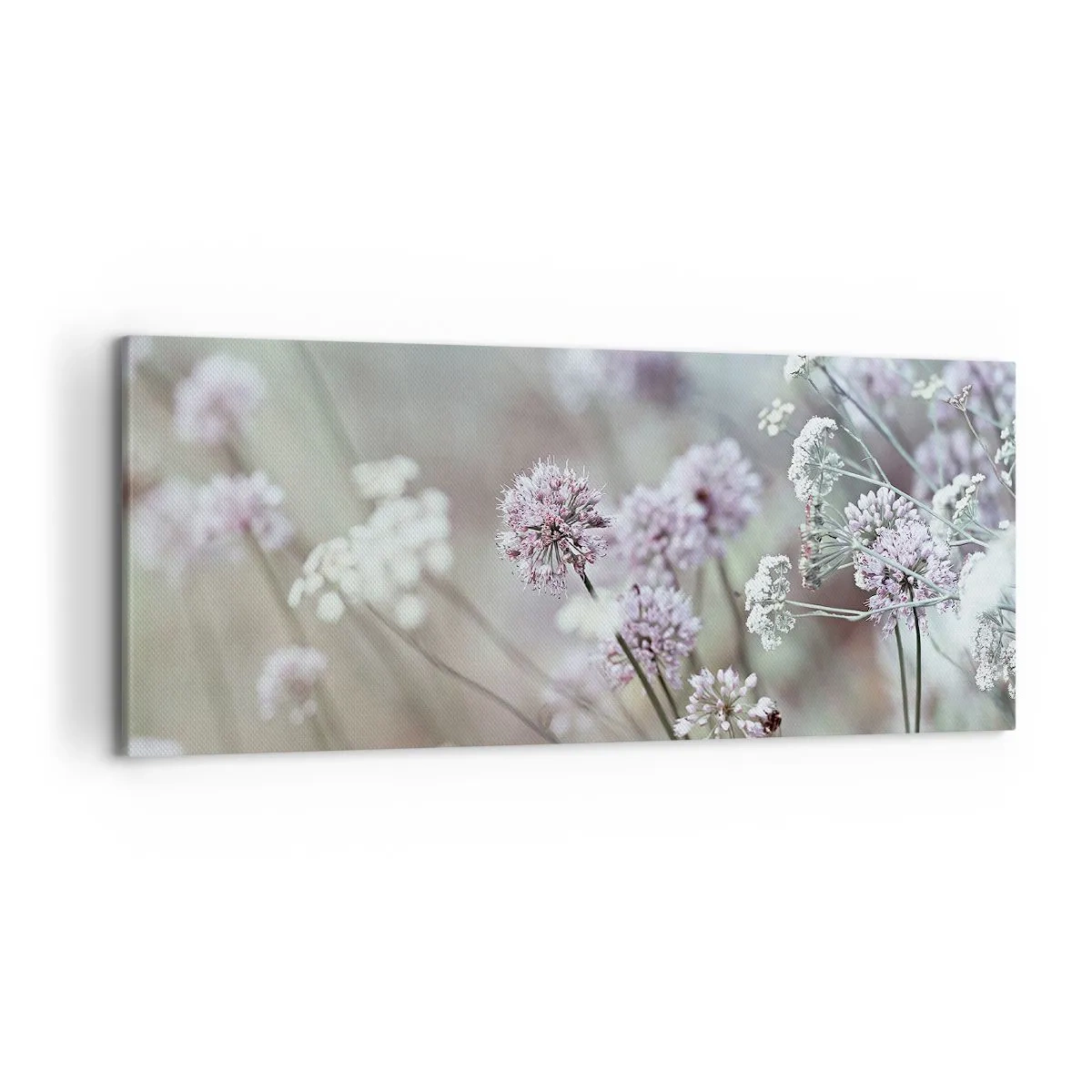Lærredstryk - Billede på lærred - Søde filigranurter - 120x50 cm