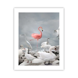 Plakat - Hvor kommer jeg fra? - 40x50 cm