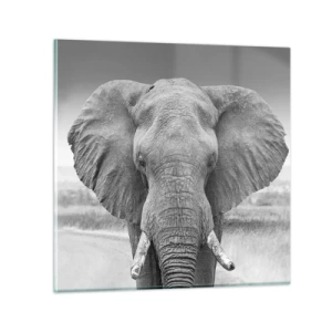 Billede på glas - Velkommen til min verden - 70x70 cm