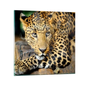 Billede på glas - Vær ikke bange, kom nu - 70x70 cm