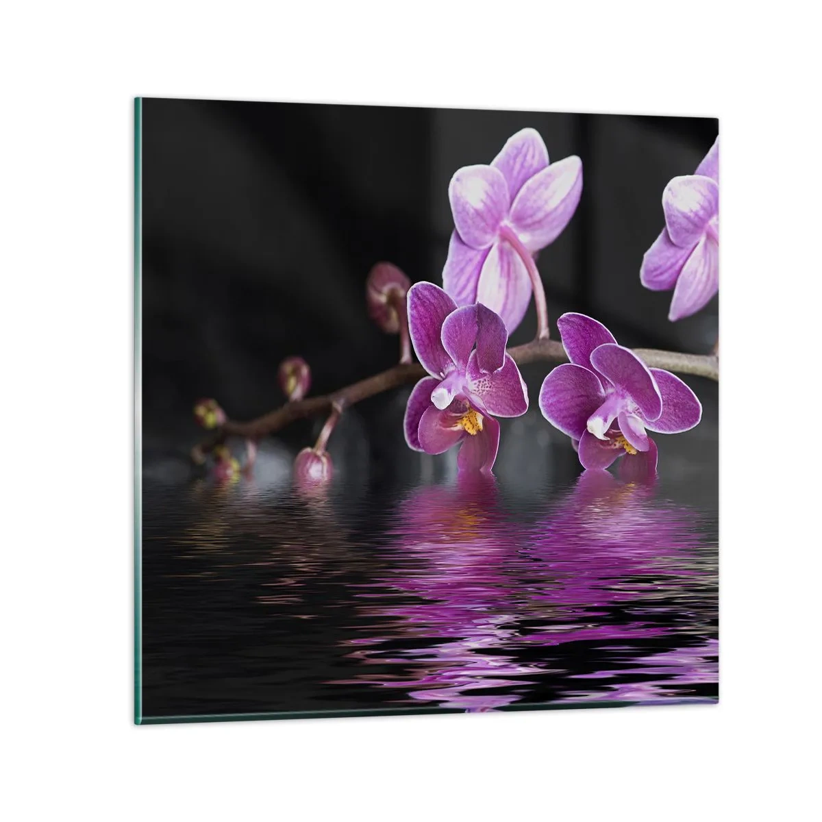 Billede på glas - En lilla afspejling af skønhed - 30x30 cm