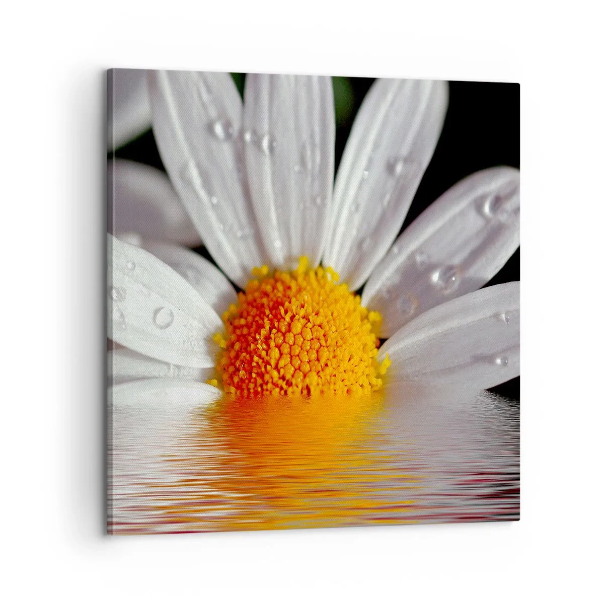 Lærredstryk - Billede på lærred - Den opgående sol på margaret - 60x60 cm