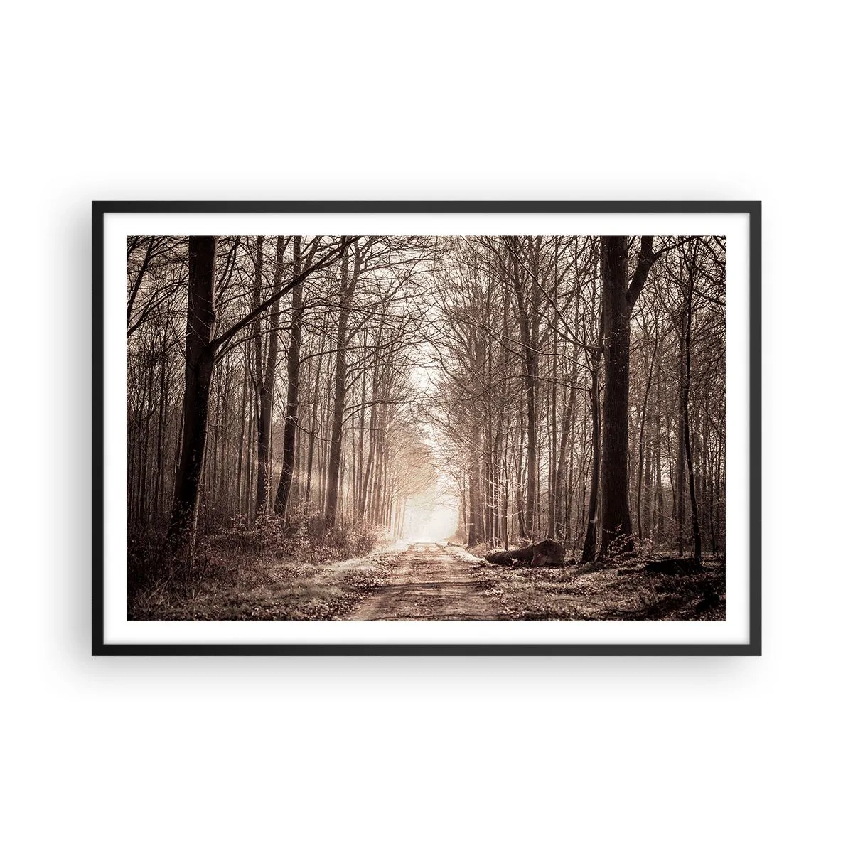 Plakat i sort ramme - Skovkatedralen - 91x61 cm