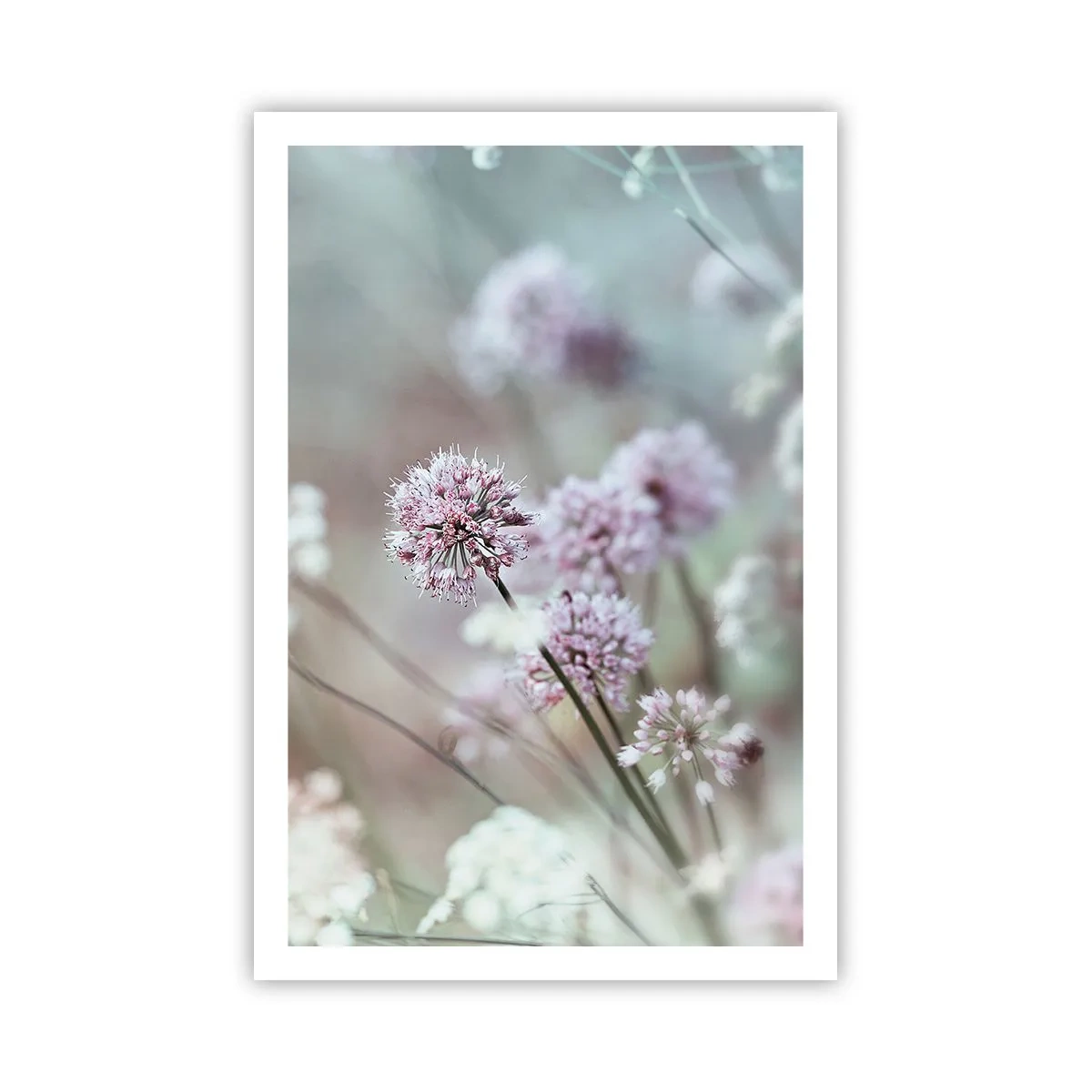 Plakat - Søde filigranurter - 61x91 cm