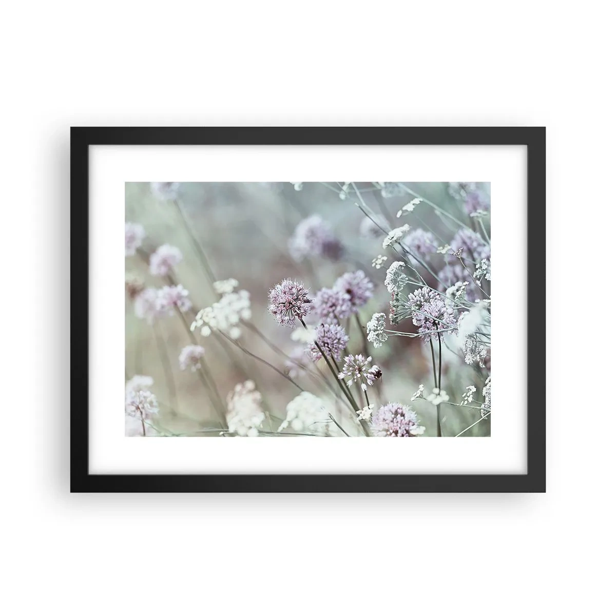 Plakat i sort ramme - Søde filigranurter - 40x30 cm