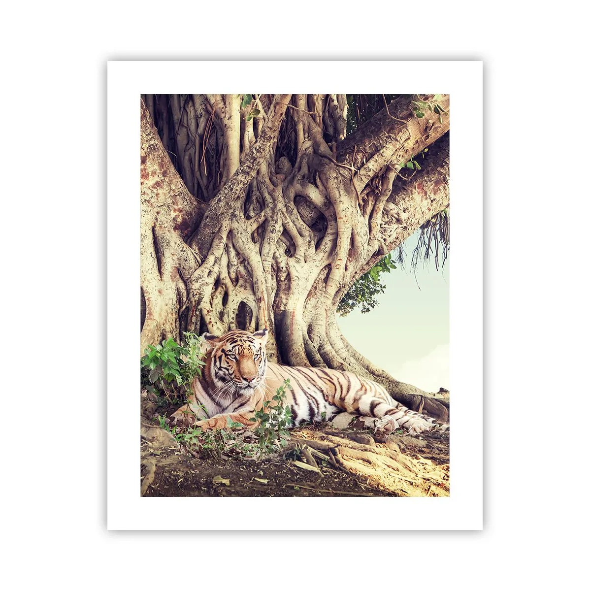 Plakat - Udsigt fra Første Mosebog - 40x50 cm