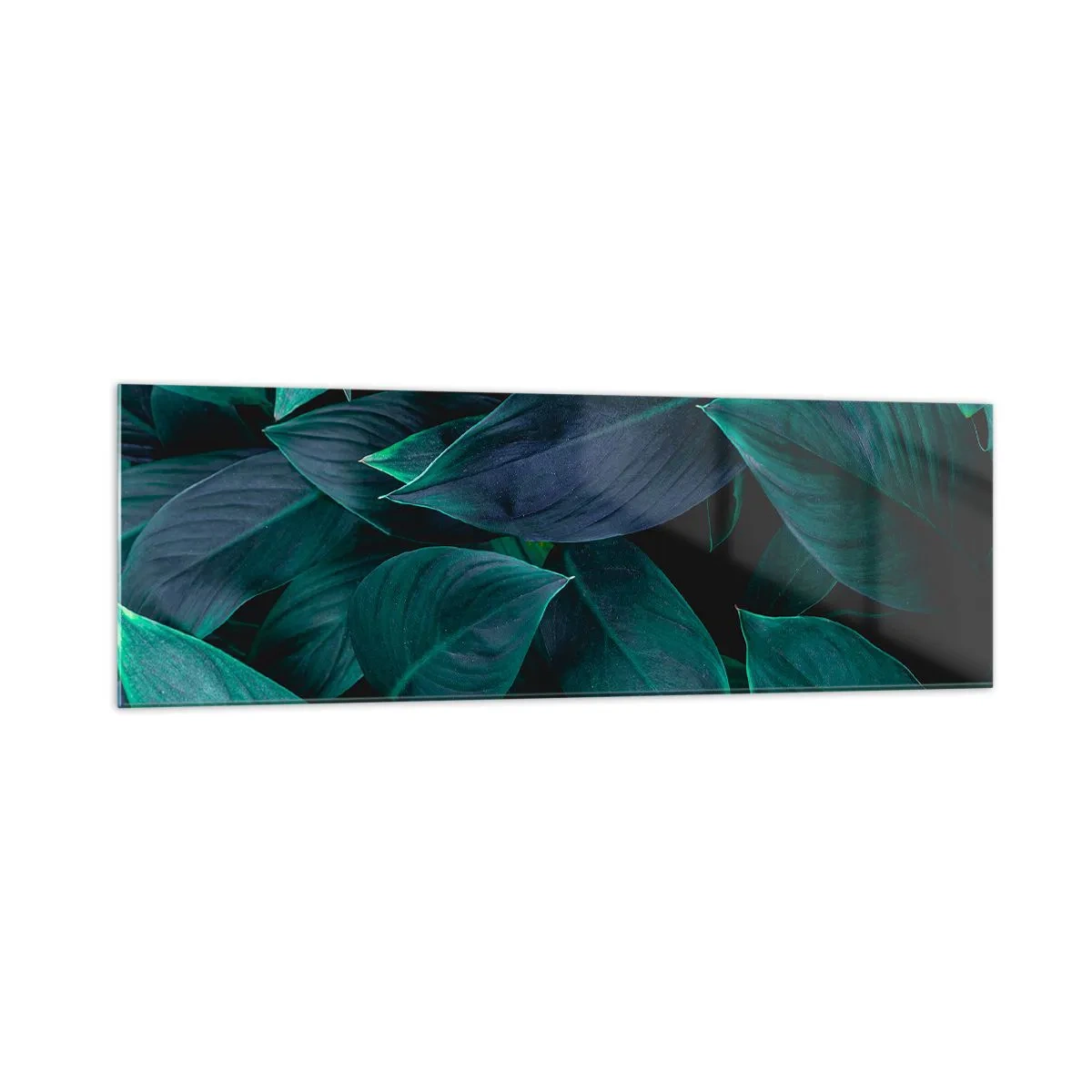 Billede på glas - Grønt i sig selv - 160x50 cm