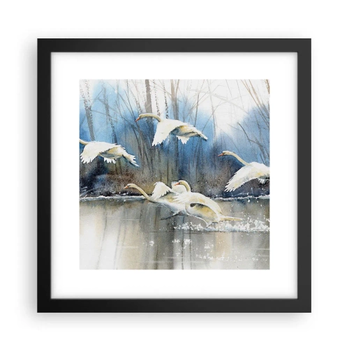 Plakat i sort ramme - Som i en fortælling om vilde svaner - 30x30 cm