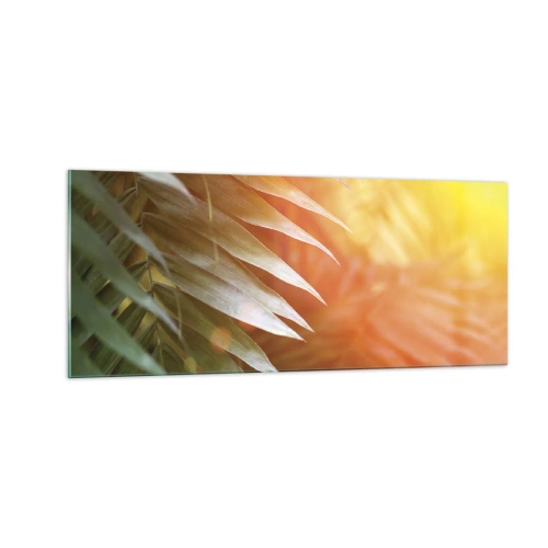 Billede på glas - Morgen i junglen - 100x40 cm