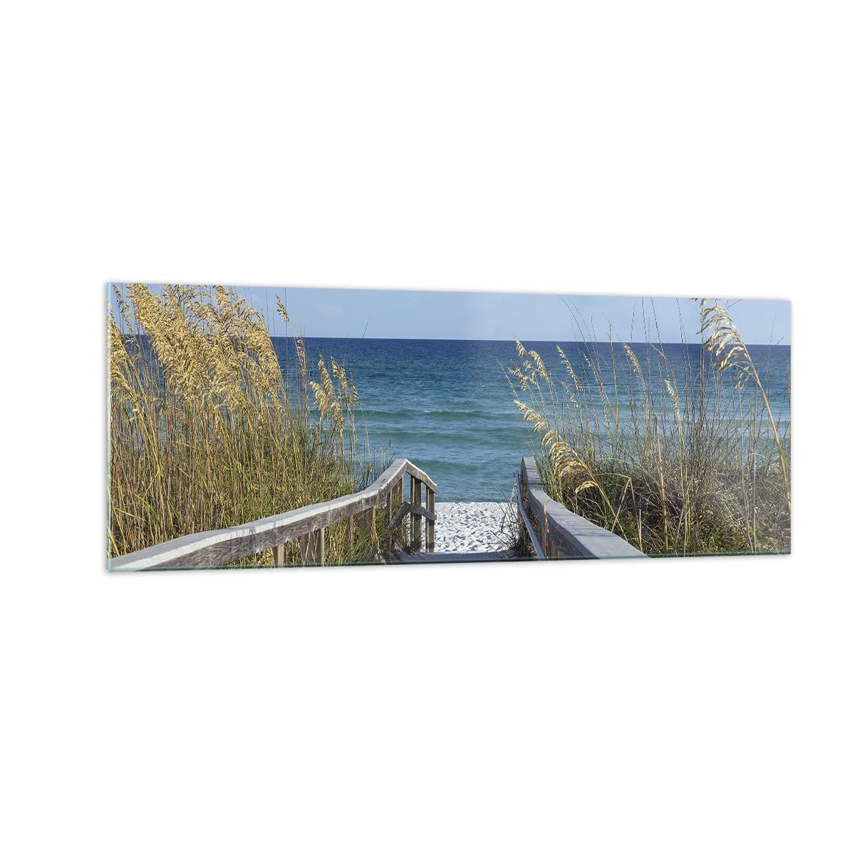 Billede på glas - I solen, i vinden - 140x50 cm