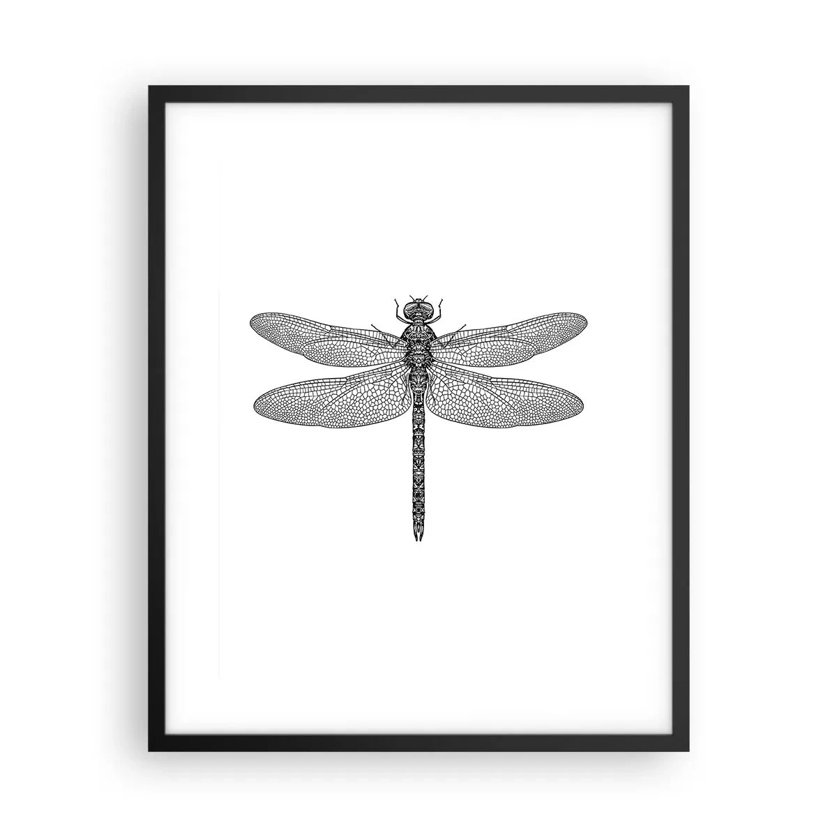 Plakat i sort ramme - Præcision i naturen - 40x50 cm