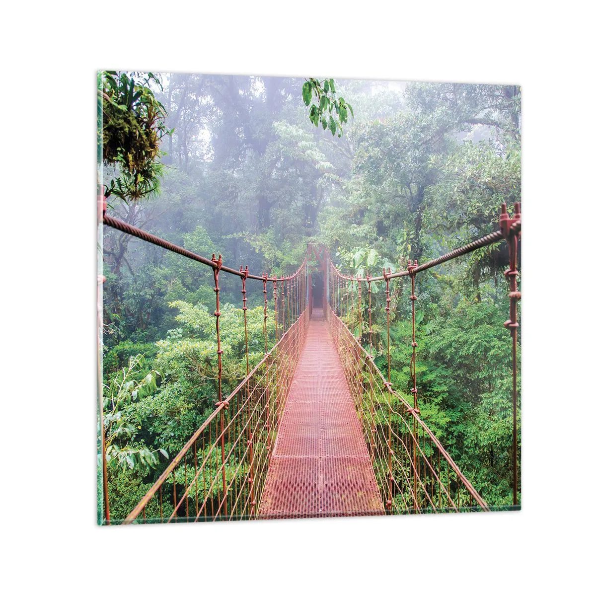 Billede på glas - Ophængt over kronerne - 50x50 cm