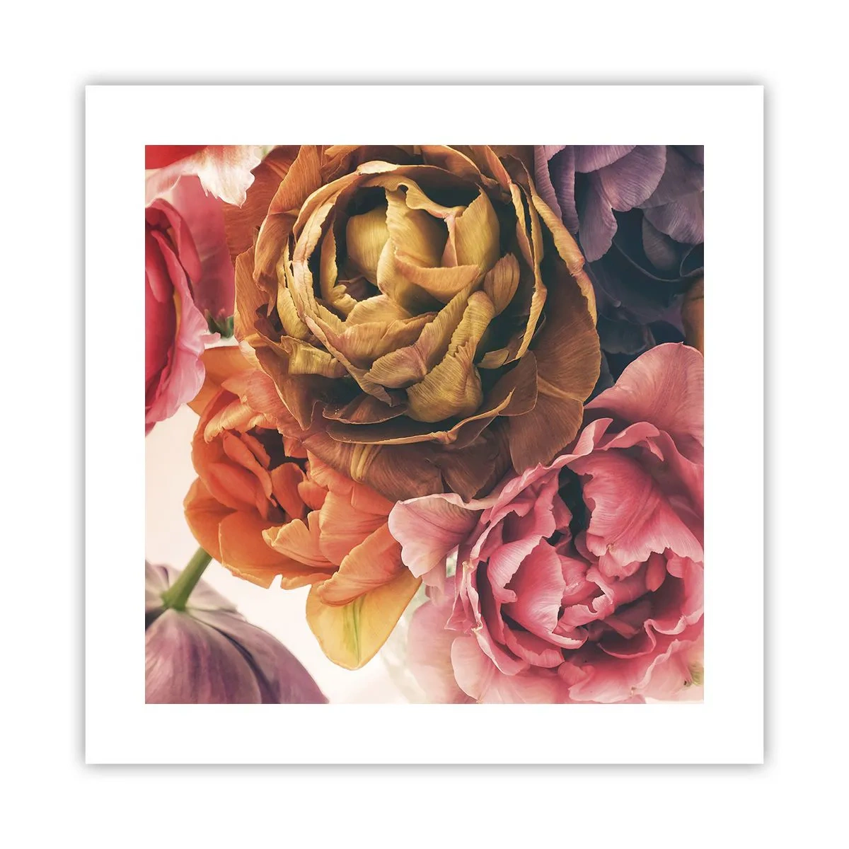 Plakat - Fejring af livet - 40x40 cm