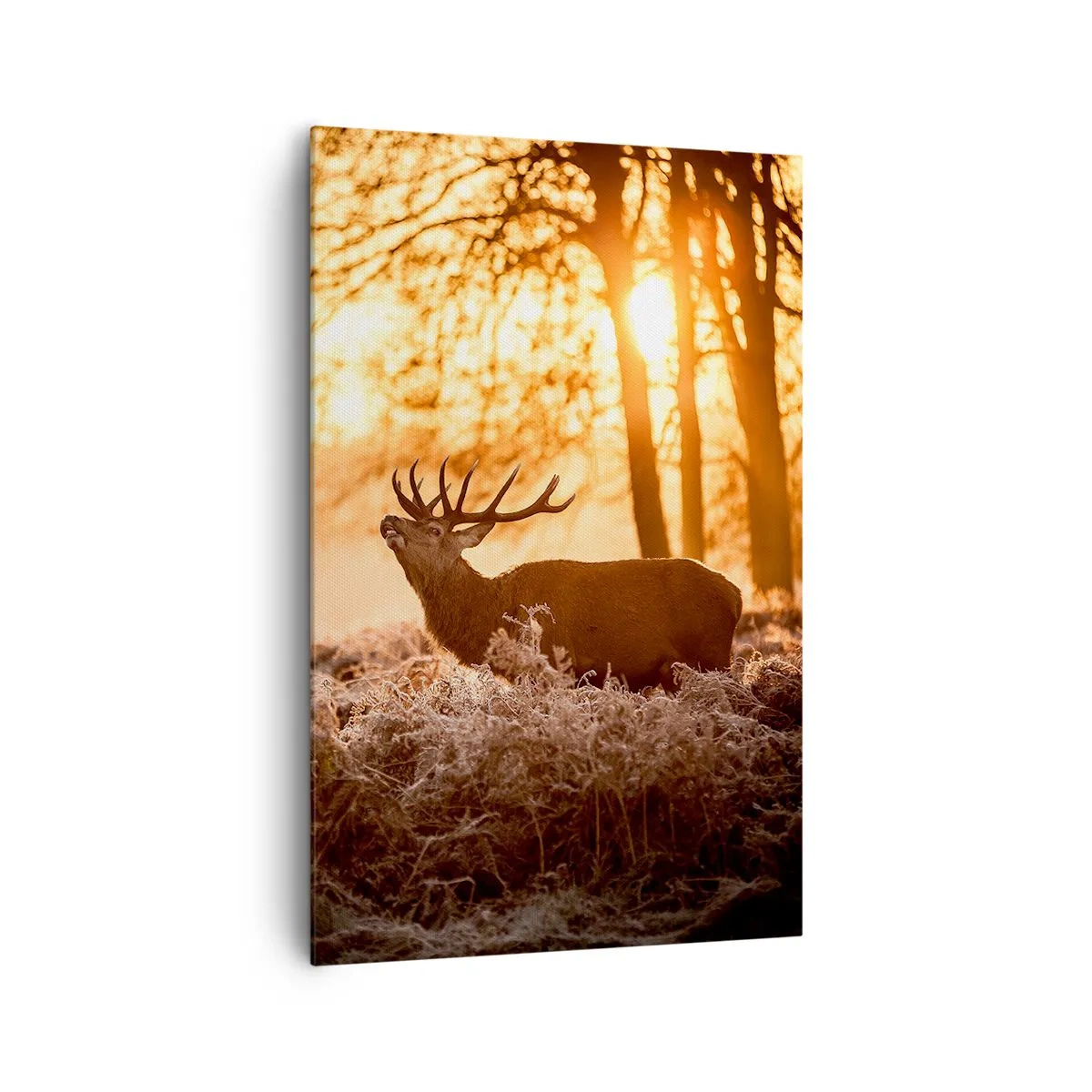 Lærredstryk - Billede på lærred - En jægerdrøm - 80x120 cm