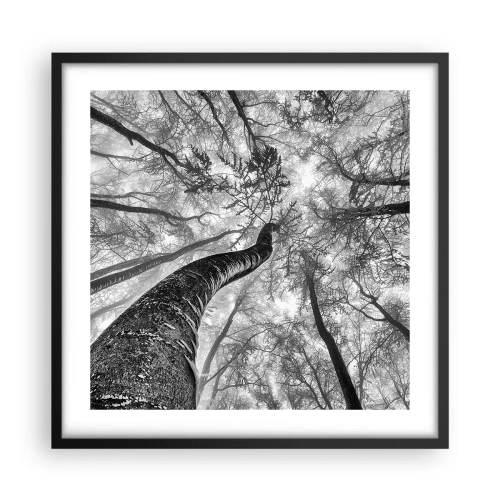 Plakat i sort ramme - Kapløb mod lyset - 50x50 cm