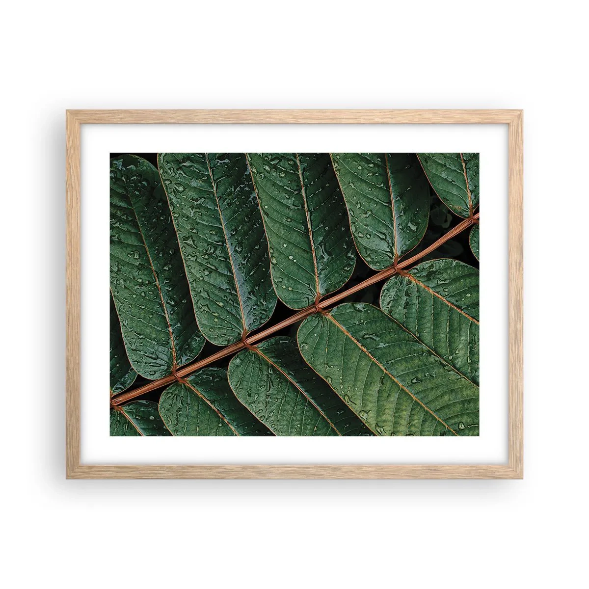 Plakat i ramme af lyst egetræ - I en grøn rytme - 50x40 cm