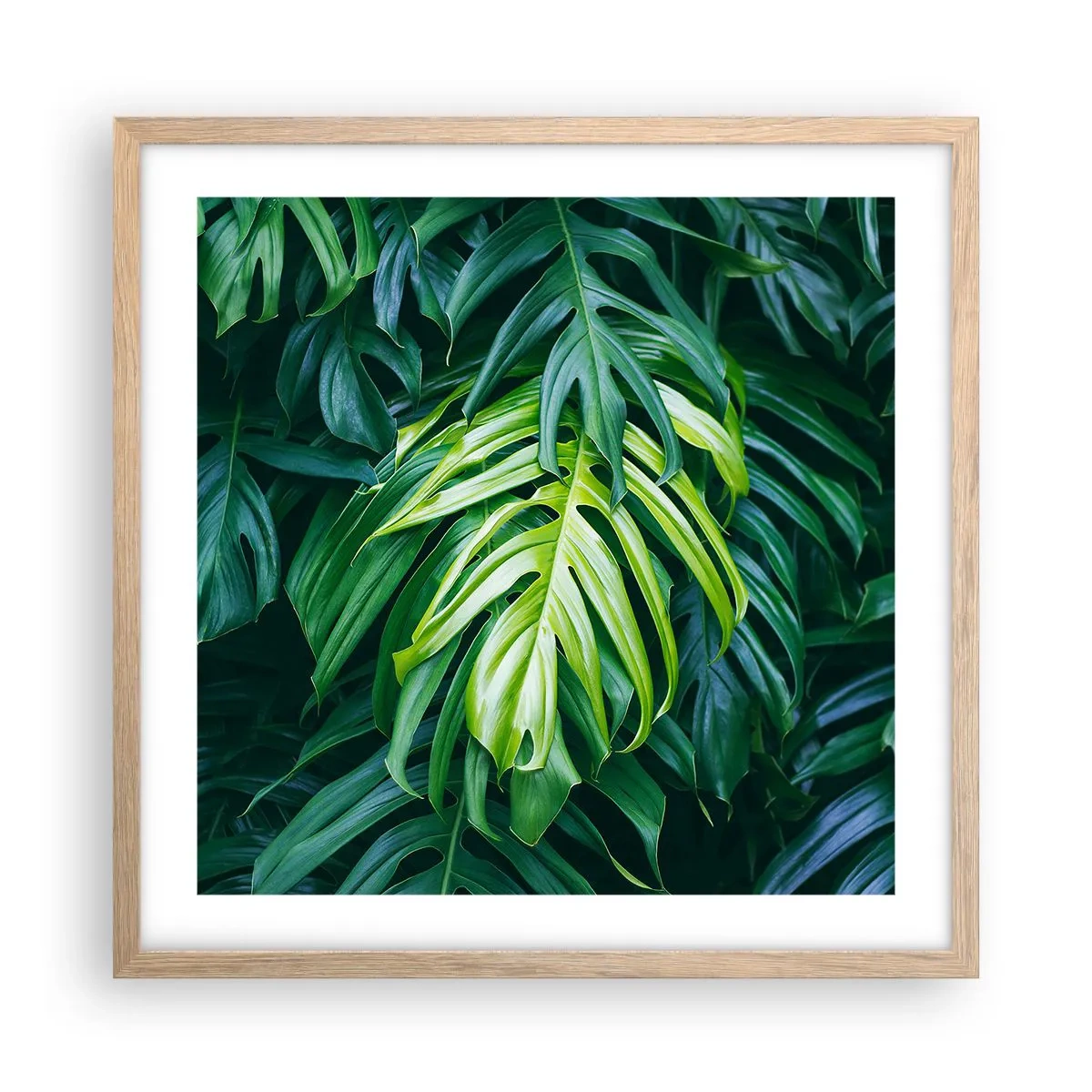 Plakat i ramme af lyst egetræ - Fordyb dig i friskhed - 50x50 cm