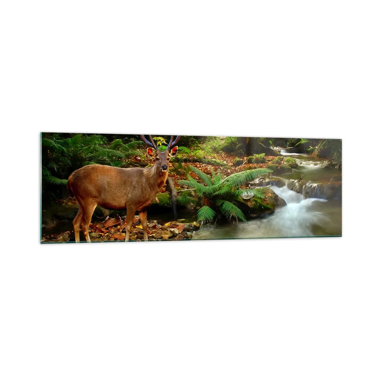 Billede på glas - Velkommen til min verden - 160x50 cm