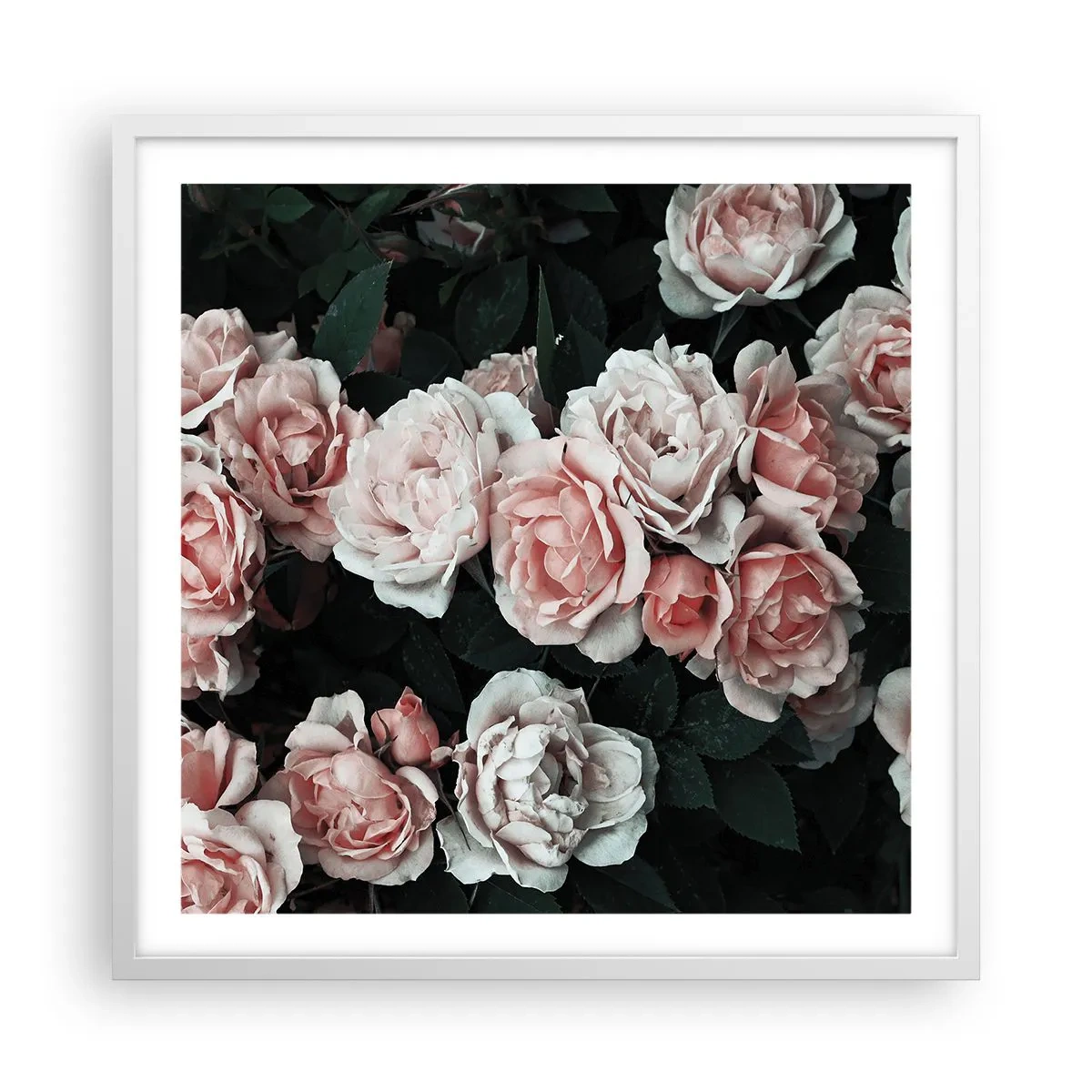 Plakat i hvid ramme - Lyserød ansamble - 60x60 cm