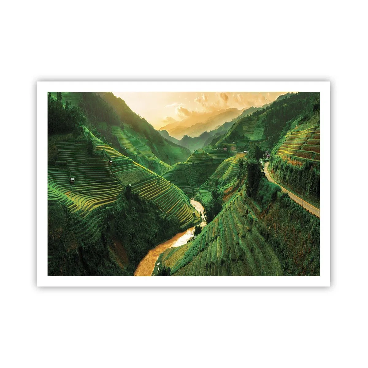 Plakat - Vietnamesisk dal - 100x70 cm