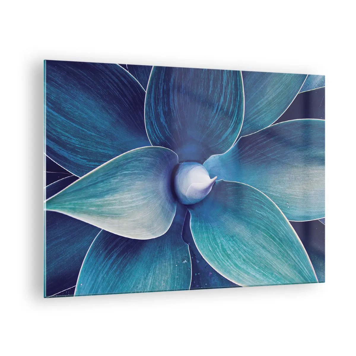 Billede på glas - Makrofotografi af en plante i blå nuancer - 70x50cm - Blå fra himlen - Moderne vægdekoration til stue og soveværelse ARTTOR