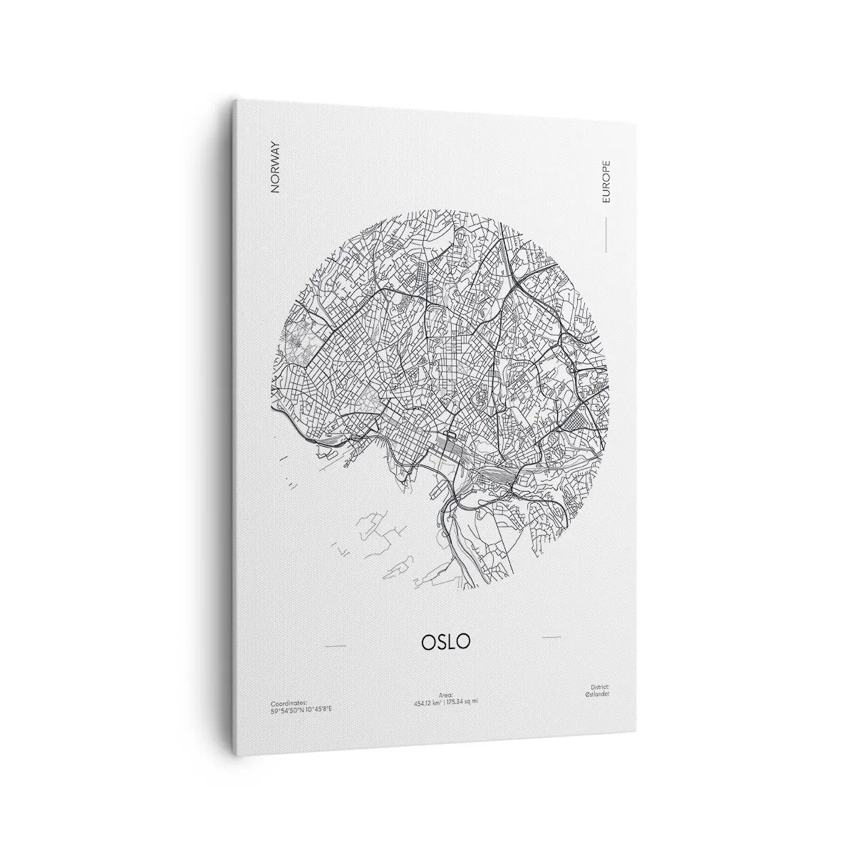 Lærredstryk - Billede på lærred - Anatomi af Oslo - 70x100 cm