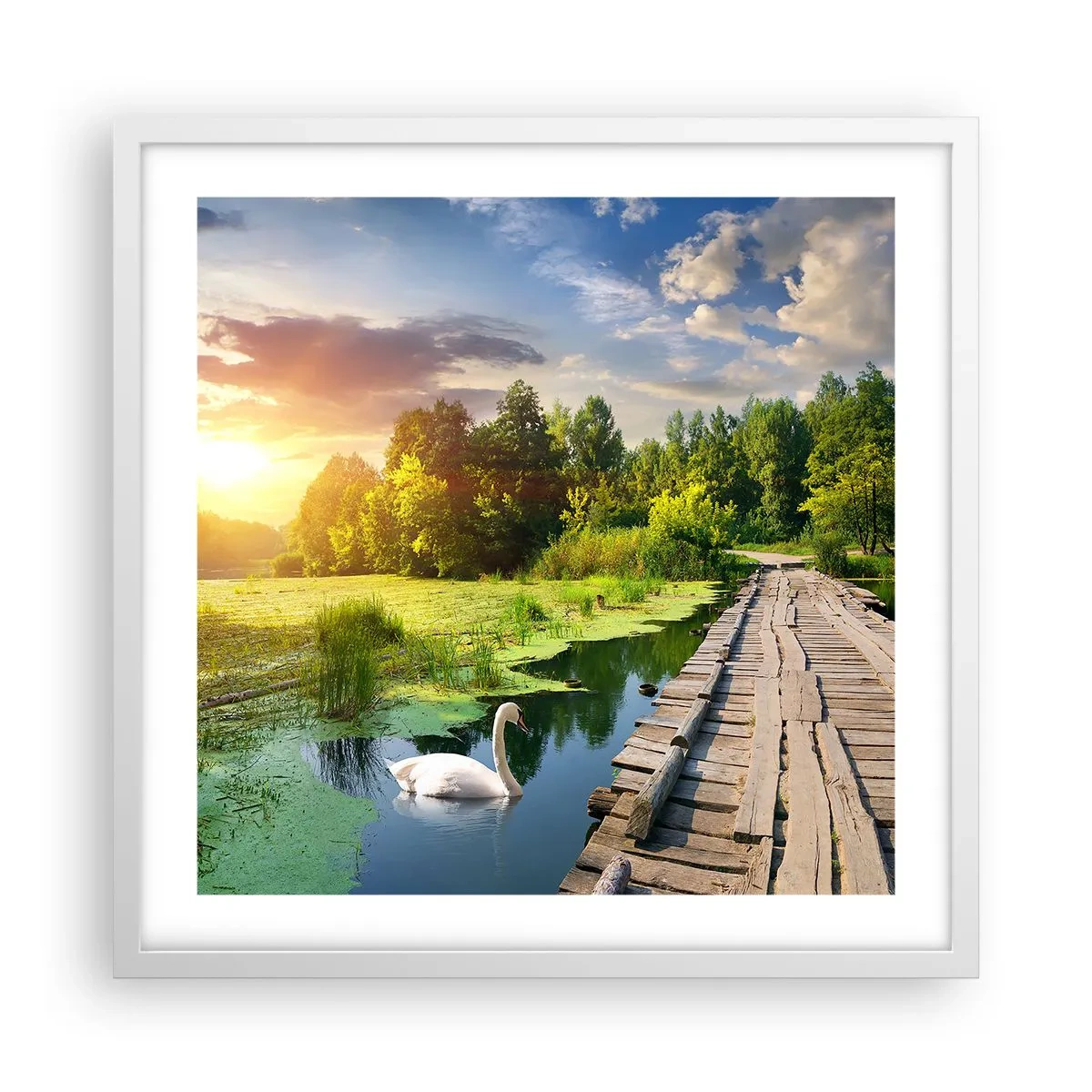 Plakat i hvid ramme - Sommer, sommer overalt - 50x50 cm
