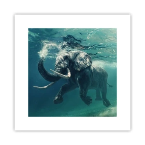 Plakat - Alle kan lide at svømme - 30x30 cm