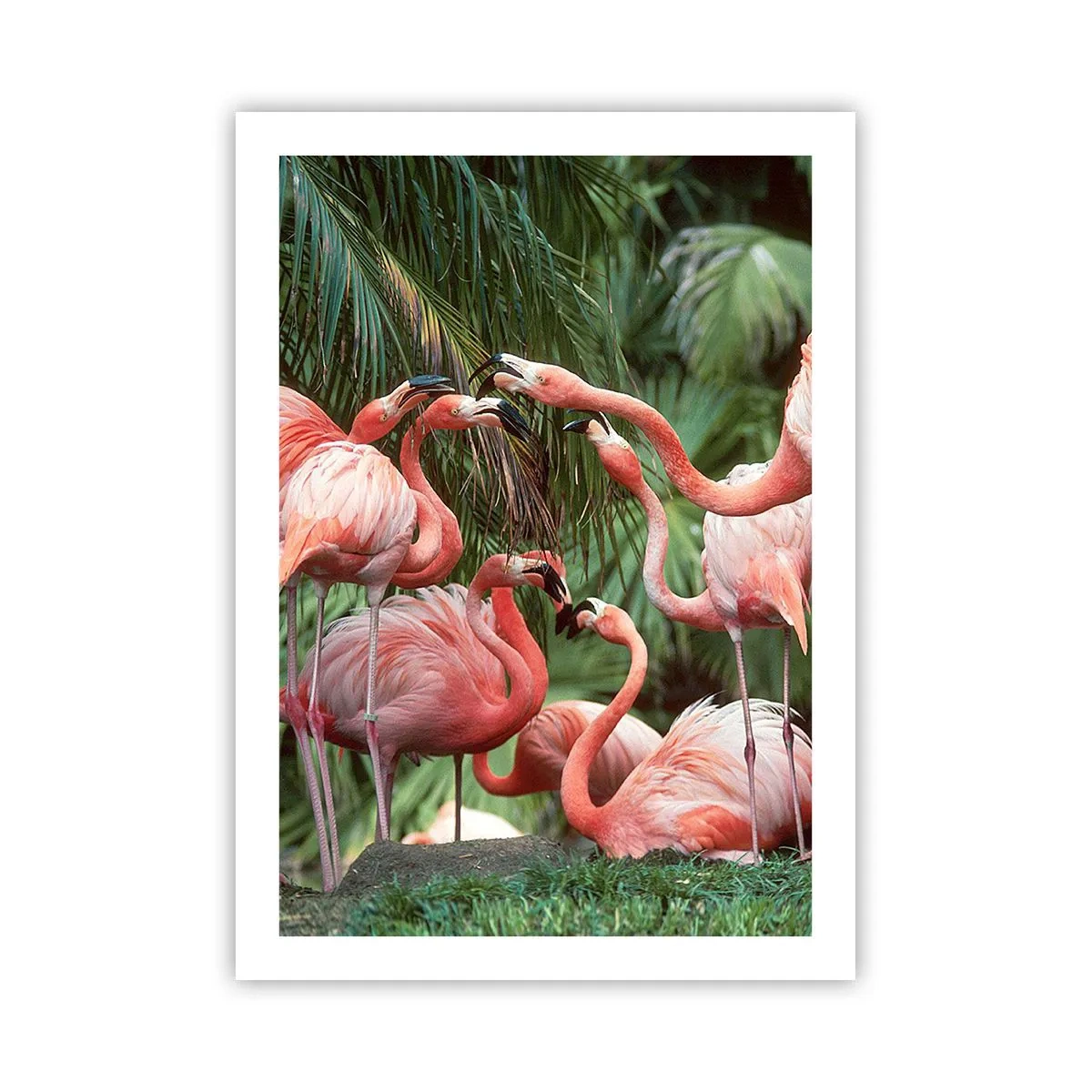 Plakat - Sladder om eftermiddagen - 50x70 cm