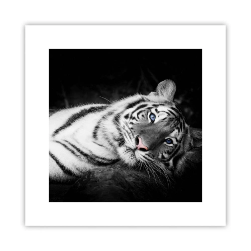 Plakat - Vildskab og fred - 30x30 cm