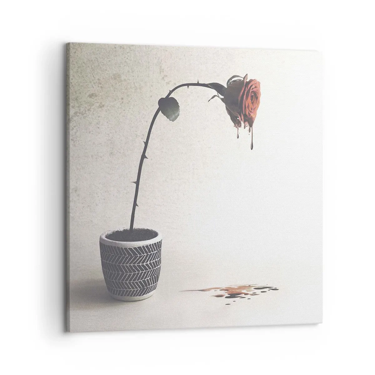 Lærredstryk - Billede på lærred - Rosa dolorosa - 50x50 cm