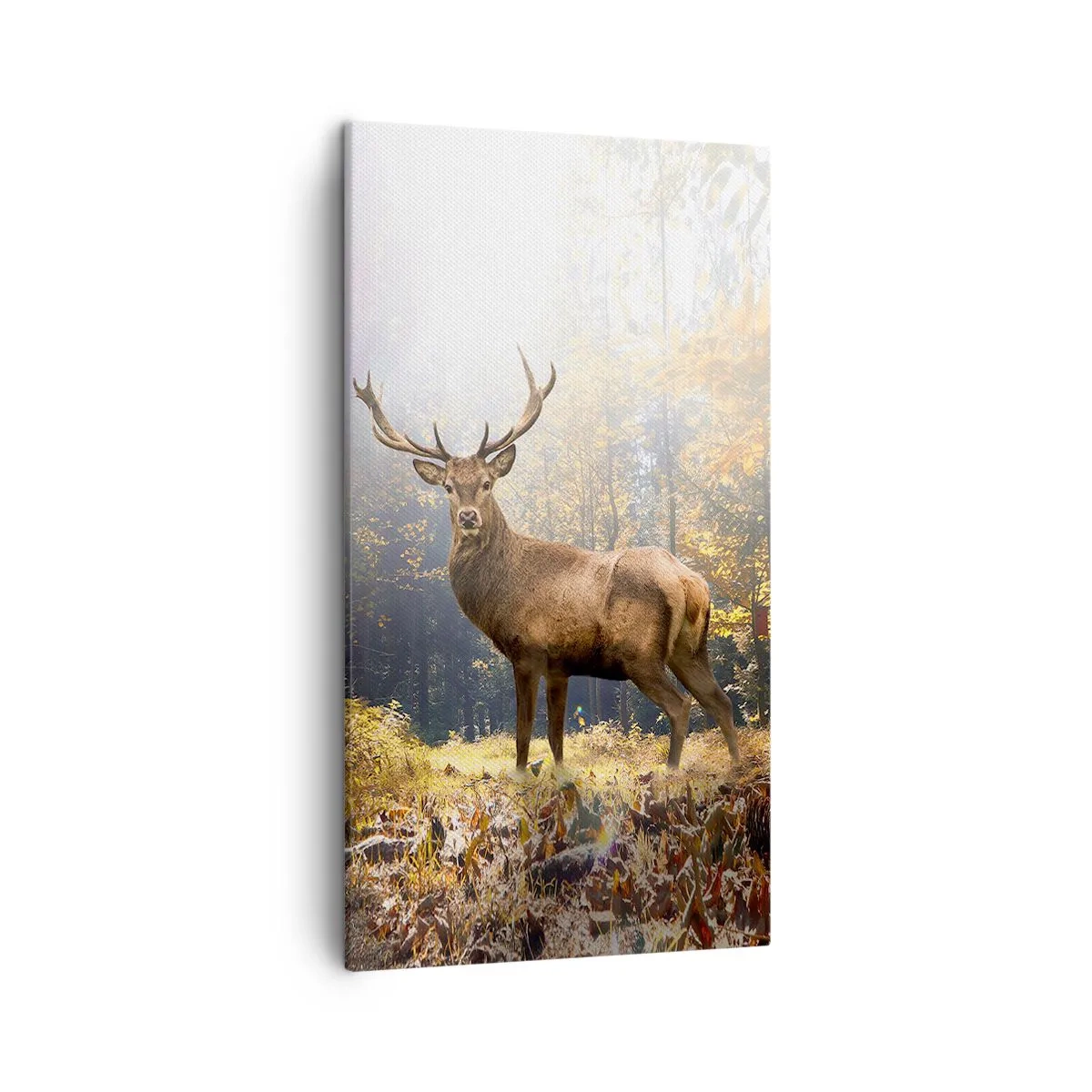 Lærredstryk - Billede på lærred - I fuld majestæt - 45x80 cm