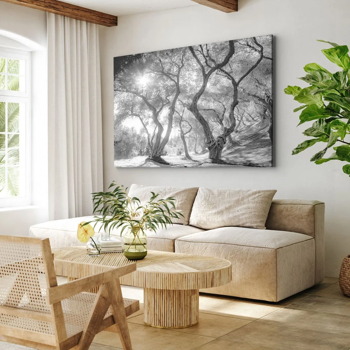 Lærredstryk - Billede på lærred - Sort-hvid udsigt over træer i en olivenlund med solstråler - 70x50cm - I en olivenlund - Moderne vægdekoration til stue og soveværelse ARTTOR
