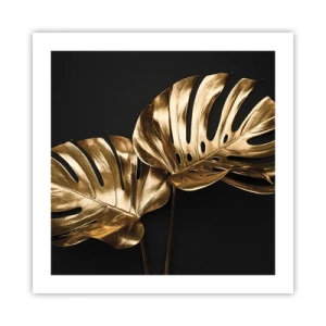 Plakat - Naturens skatte - 50x50 cm