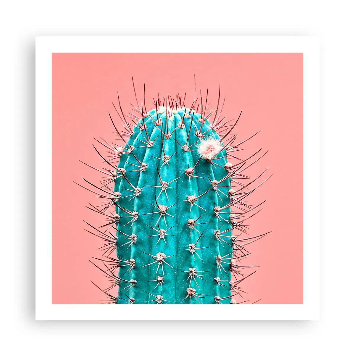 Plakat - Bare se - 60x60 cm